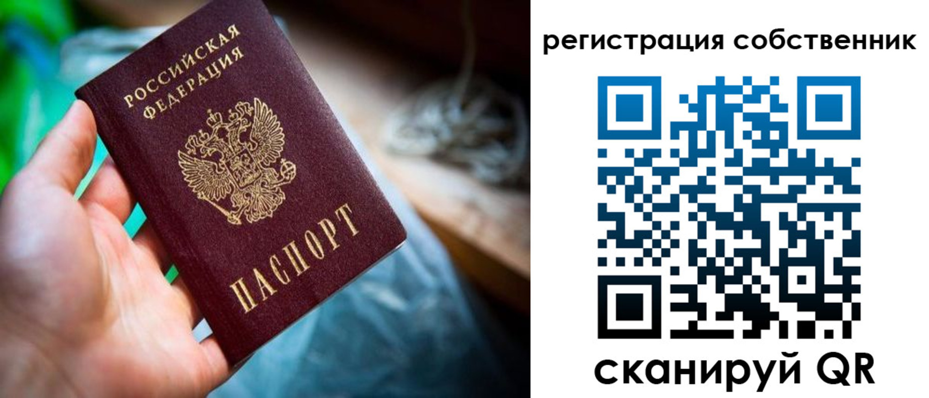 прописка гарантия в Йошкар-Оле